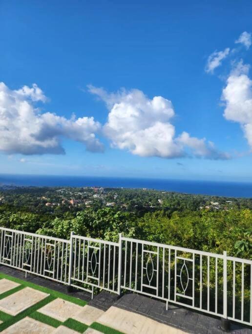 Villa La Rosa With Spectacular View Of Ocho Rios Eksteriør bilde